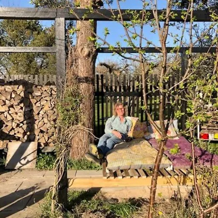 Sort Sommerhus I Aebleskov Forste Raekke Til Havet