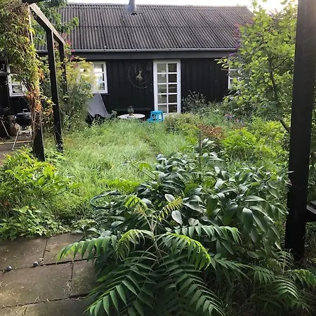 Sort Sommerhus I Aebleskov Forste Raekke Til Havet * Kragenæs
