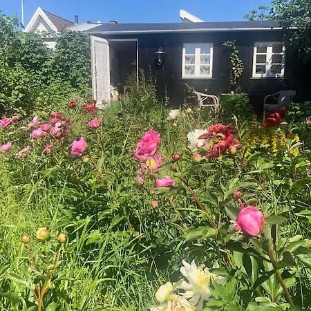 Sort Sommerhus I Aebleskov Forste Raekke Til Havet * Kragenæs